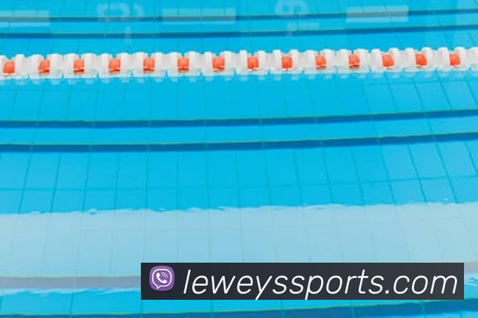 体育下注服务体系